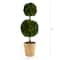 2.5ft. Boxwood Double Ball Topiary Tree in Cream Planter